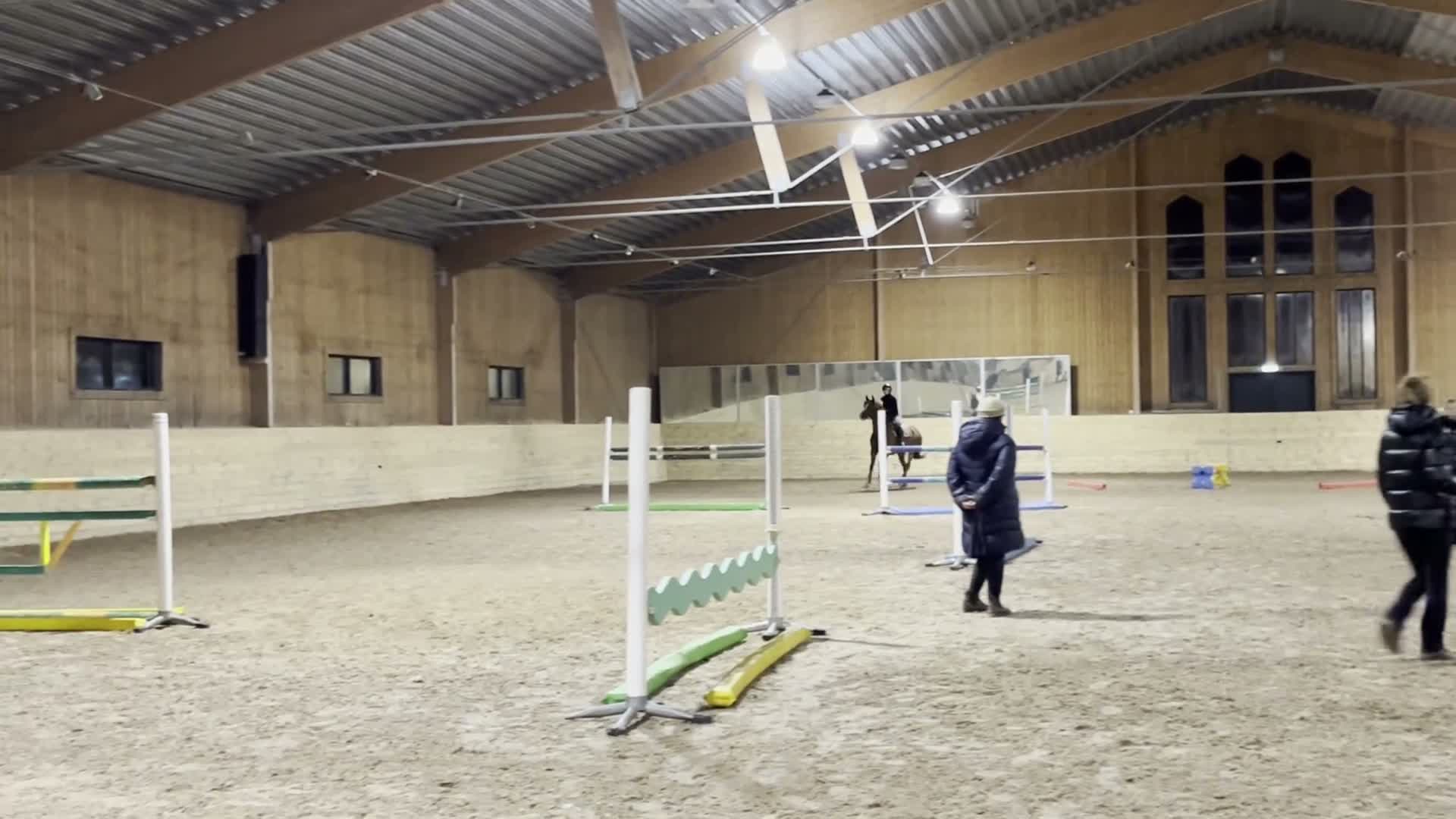 Hoppning hästar till salu: Bästa vän till salu ❤️ - Video 3