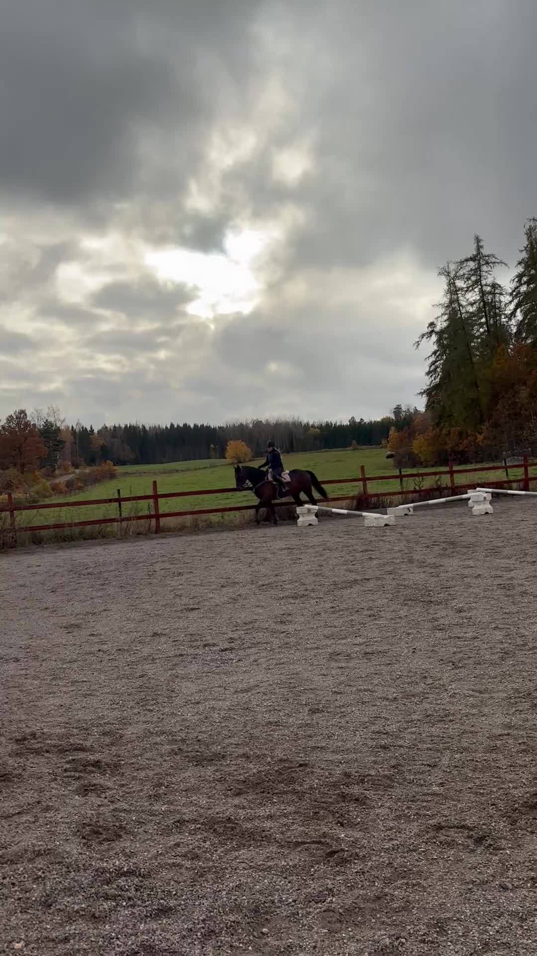 Allround hästar till salu: Genomsnäll kille söker nytt hem 🩷 i Strängnäs - Video 2