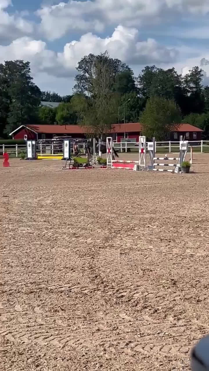 Allround hästar till salu: Fint russto - Video 1