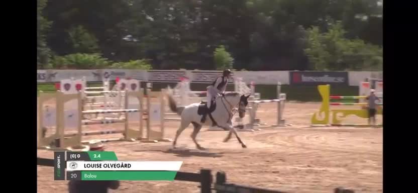 Hoppning hästar till salu: Trevlig valack - Video 1