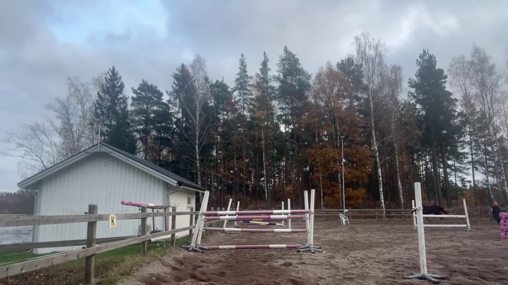 Hoppning hästar till salu: Hedvig ett framtidslöfte inom hoppsporten i Berga - Video 2