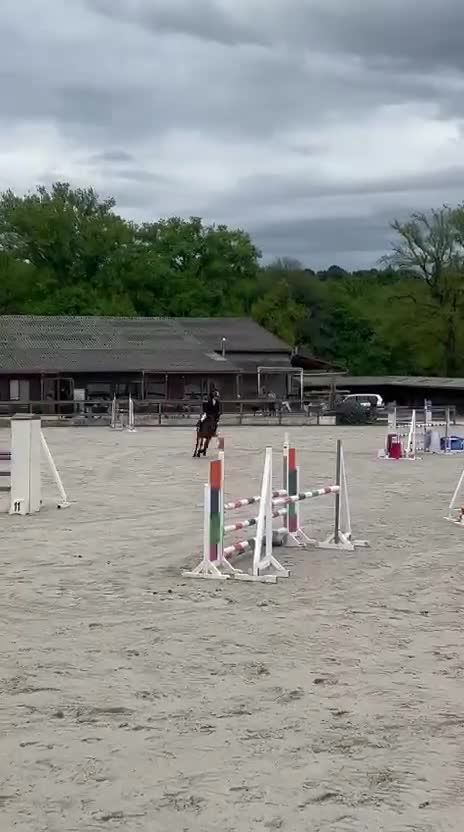 Hoppning hästar till salu: Jumping pony i Stockholm - Video 1