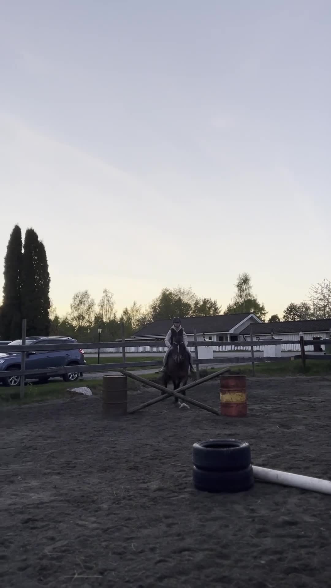 Allround hästar till salu: Världens bästa Lurex❤️ - Video 2