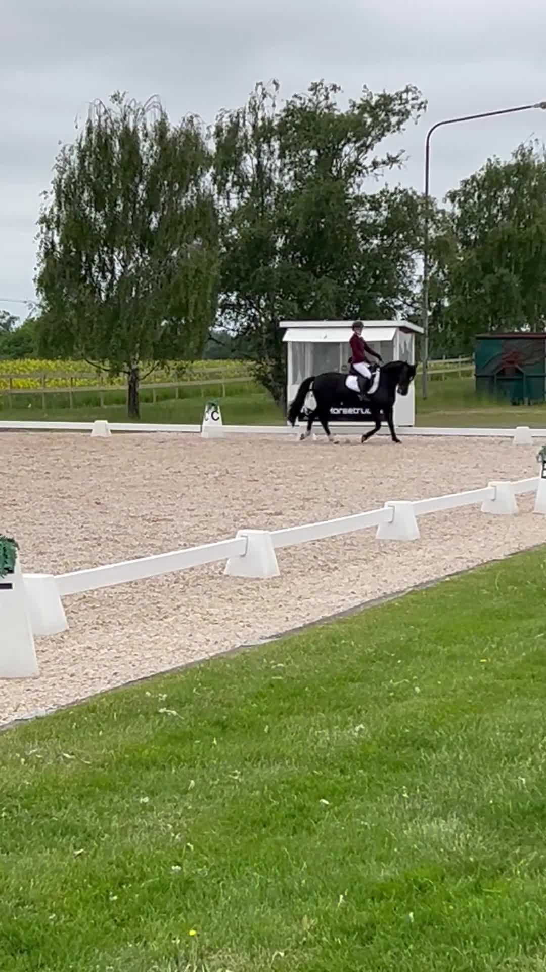Allround hästar till salu: Allround ponny - Video 2