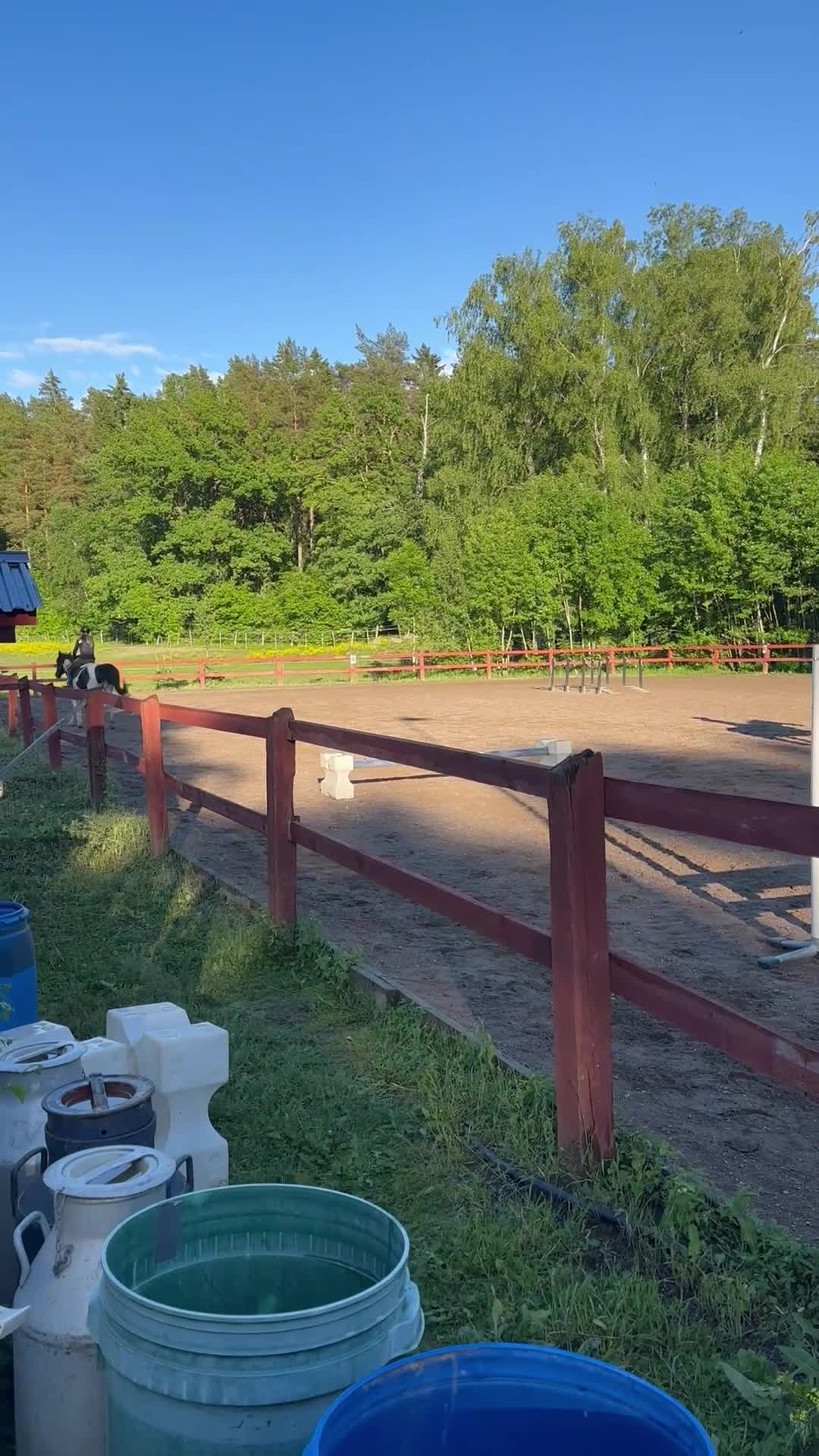 Allround hästar till salu: Söker foderhäst! i Norrtälje - Video 1