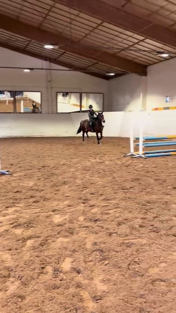 Allround hästar till salu: Bestämd dam med en räv bakom örat i Rättvik - Video 3