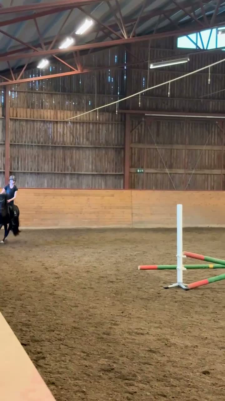 Hoppning hästar till salu: Svart fullstammad Connemara valack 7 år i Brålanda - Video 5