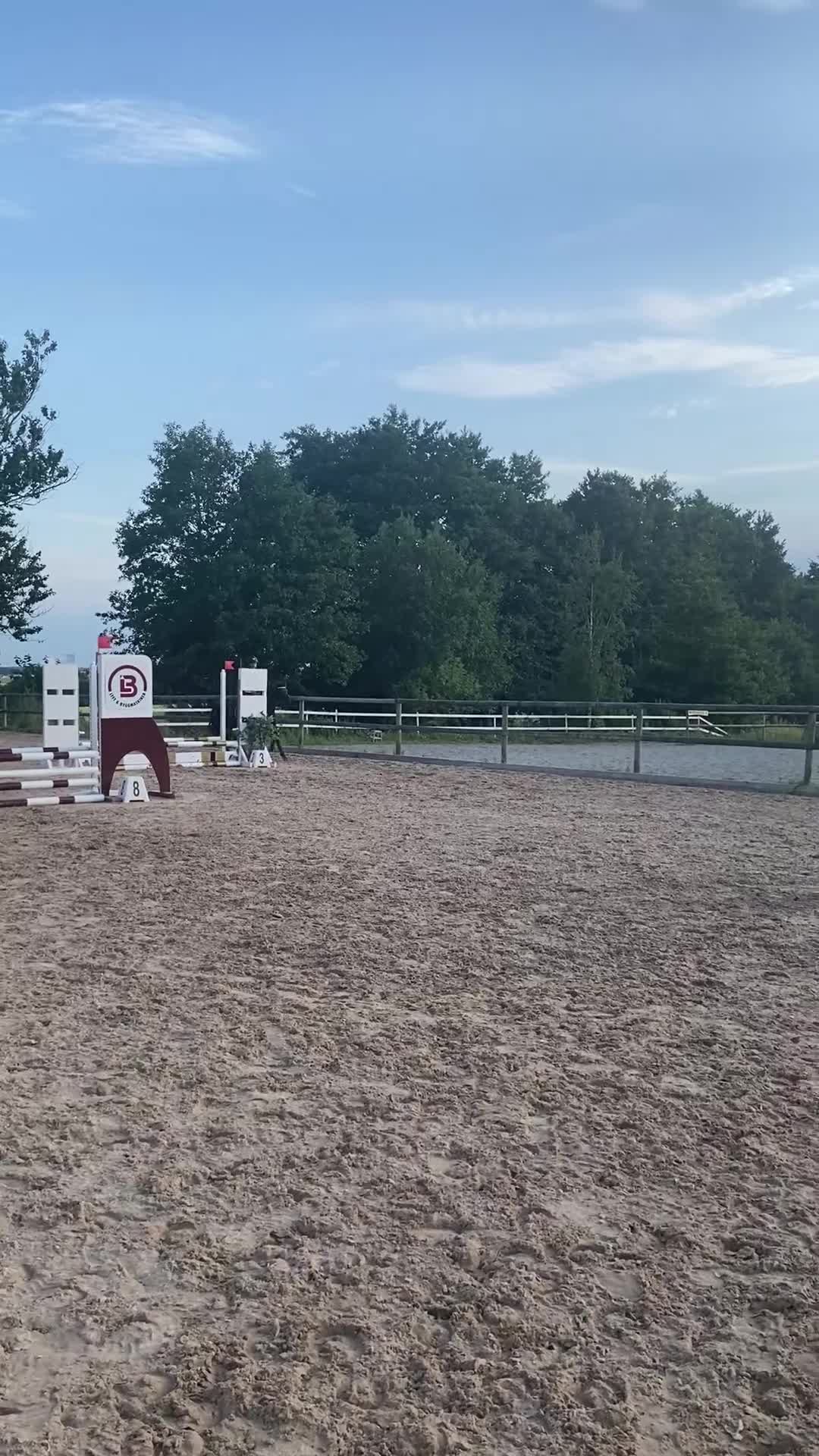 Allround hästar till salu: Fin B-ponny  - Video 2