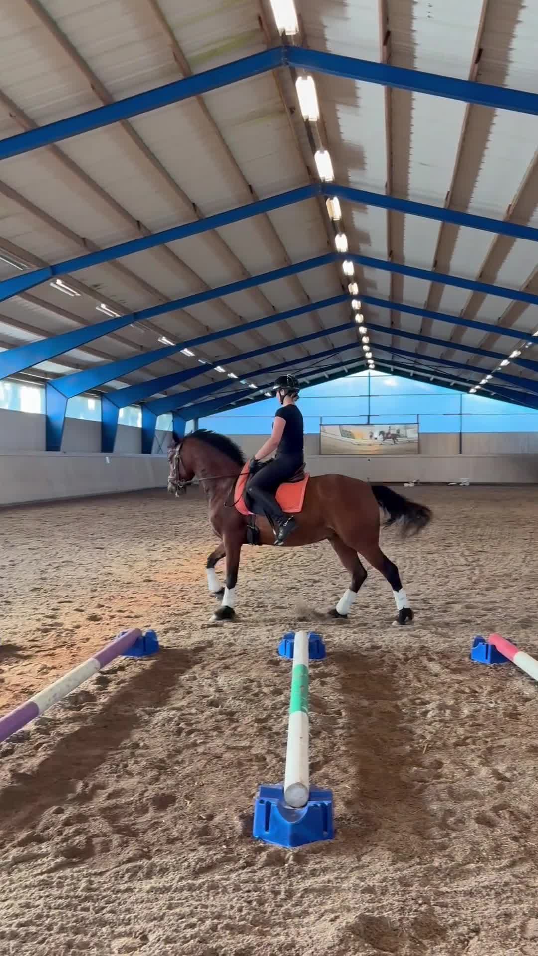 Dressyr hästar till salu: 🌟En bästa vän🌟 - Video 2