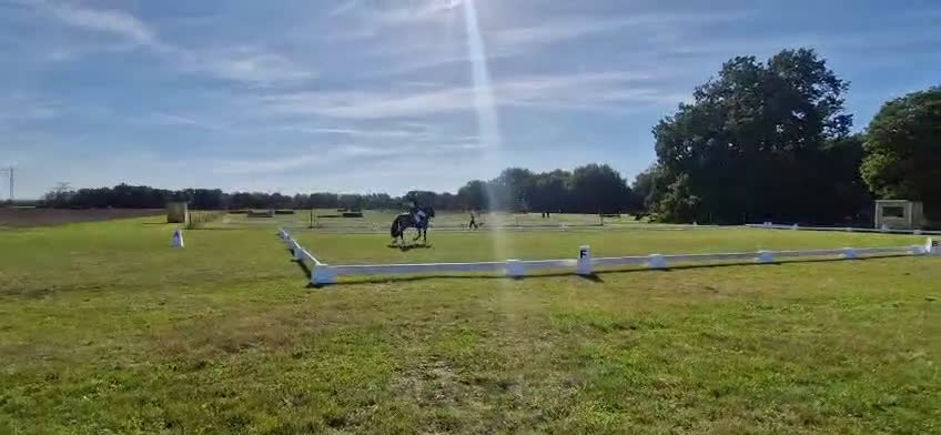 Allround hästar till salu: SM ponny i hoppning och fälttävlan till salu i Dösjebro - Video 5