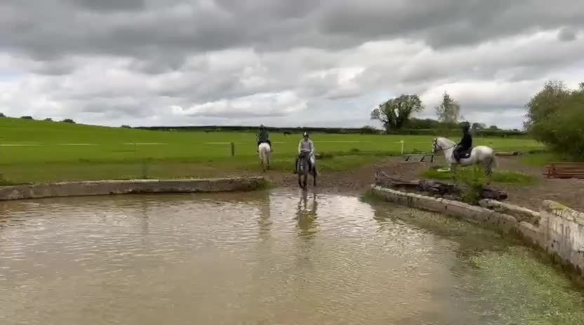 Hoppning hästar till salu: Attyrory Horses - Henry  - Video 1