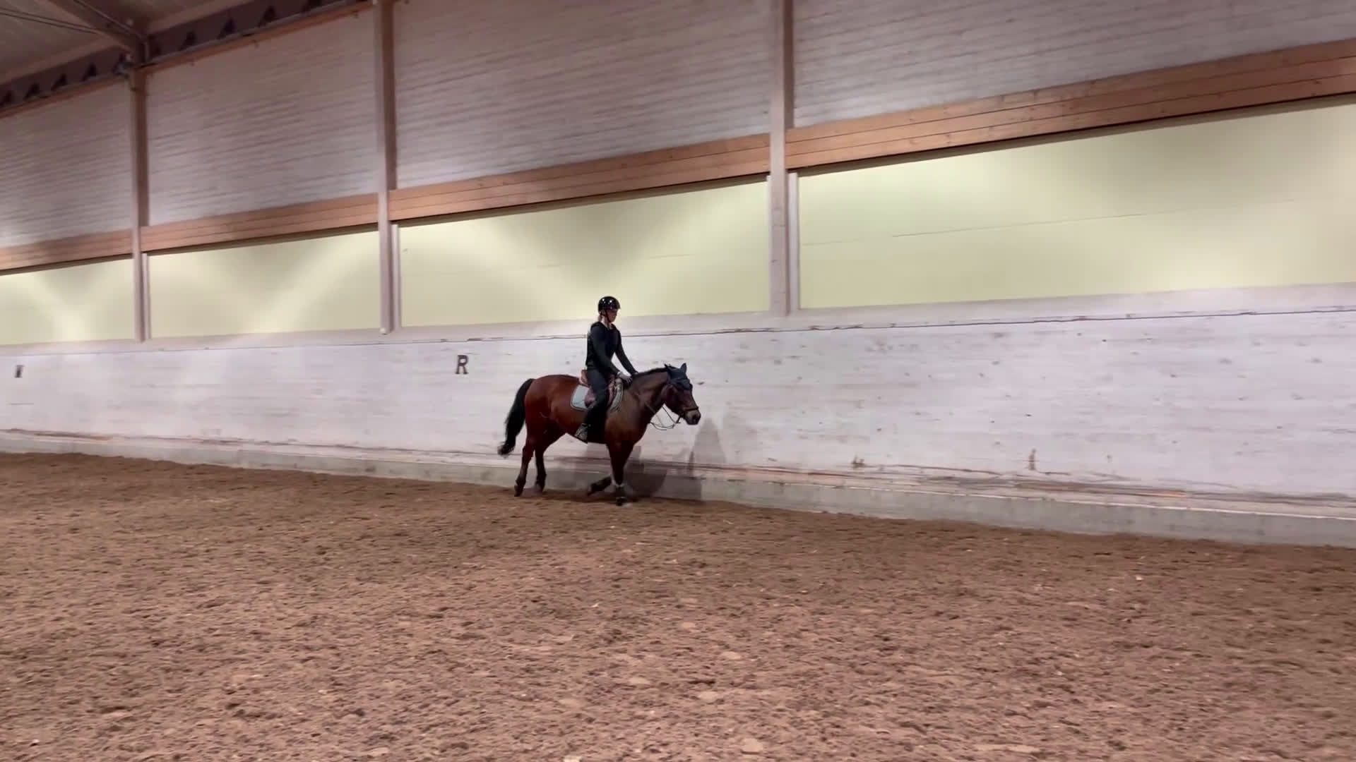 Allround hästar till salu: Trevlig C-ponny säljes  i Skärholmen - Video 4