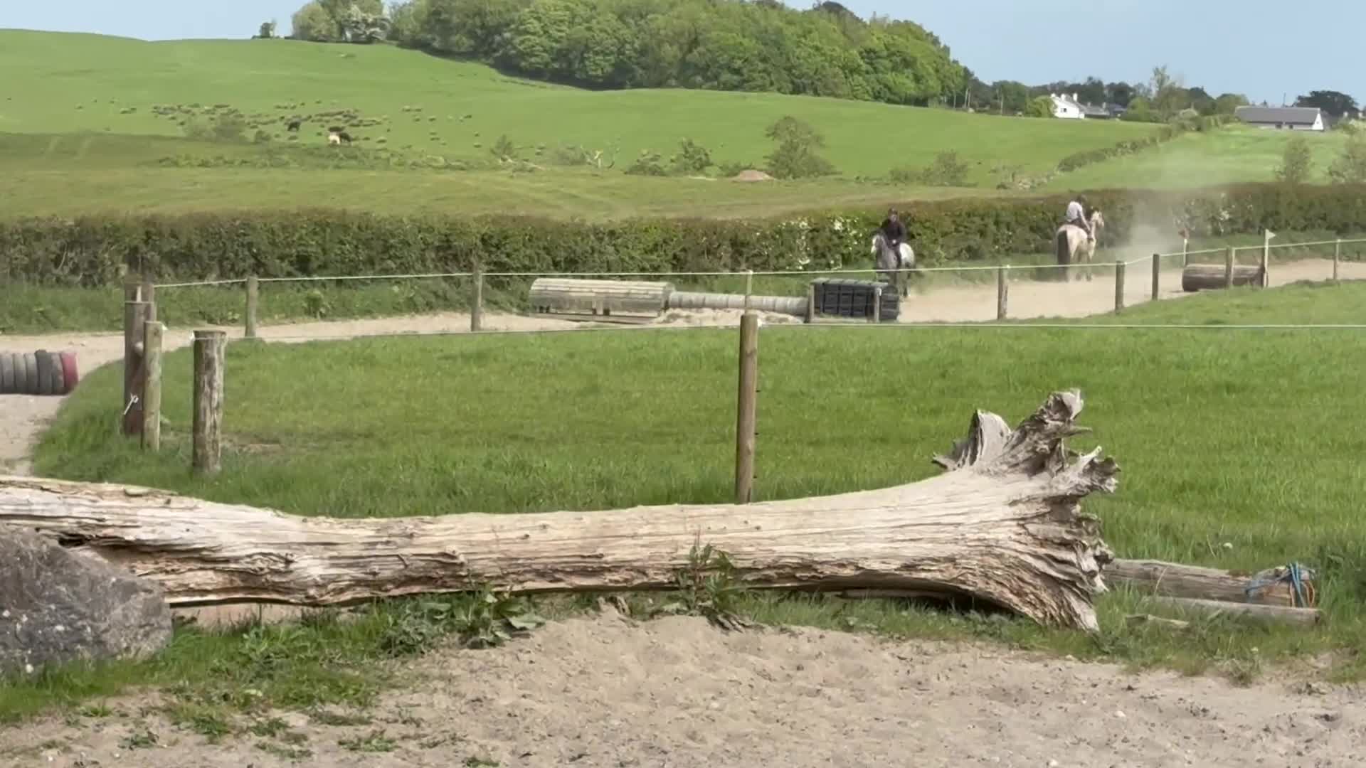 Hoppning hästar till salu: Attyrory Horses - Henry  - Video 4