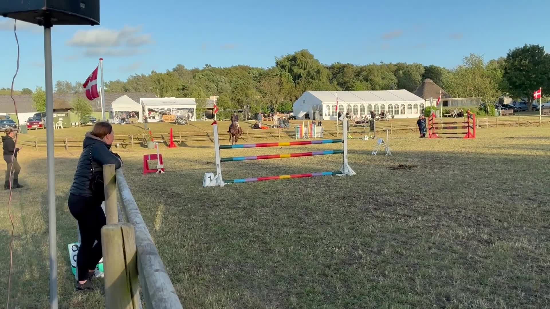 Hoppning hästar till salu: Lækker springhest og en rigtig kammeret.  - Video 1