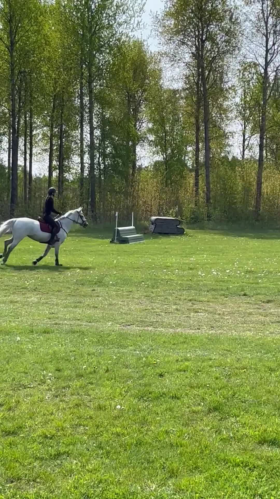 Hoppning hästar till salu: Hoppglad och genomsnäll D-ponny i Grödinge - Video 3