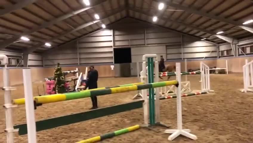 Hoppning hästar till salu: Trevligt sto söker nytt hem - Video 1