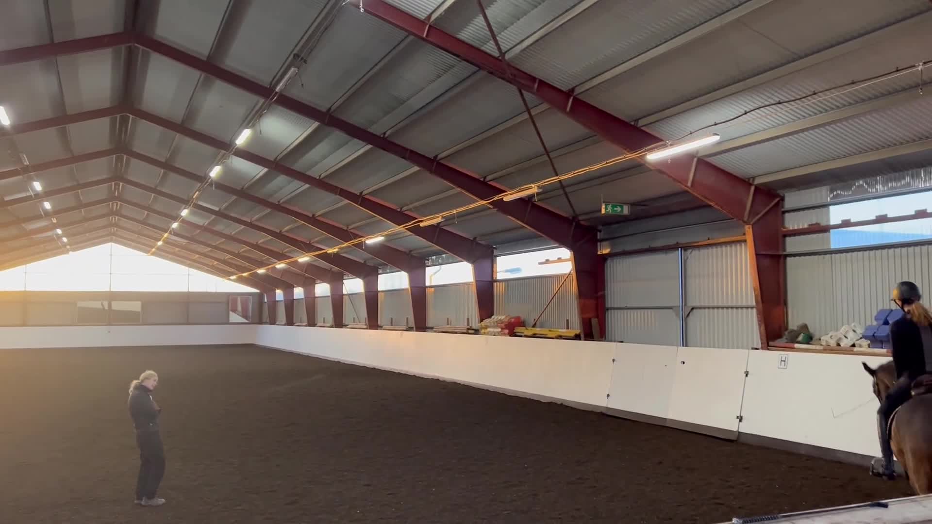  foderhäst finnes: Fodervärd till välutbildad swb sökes i Linköping  i Linköping - Video 1