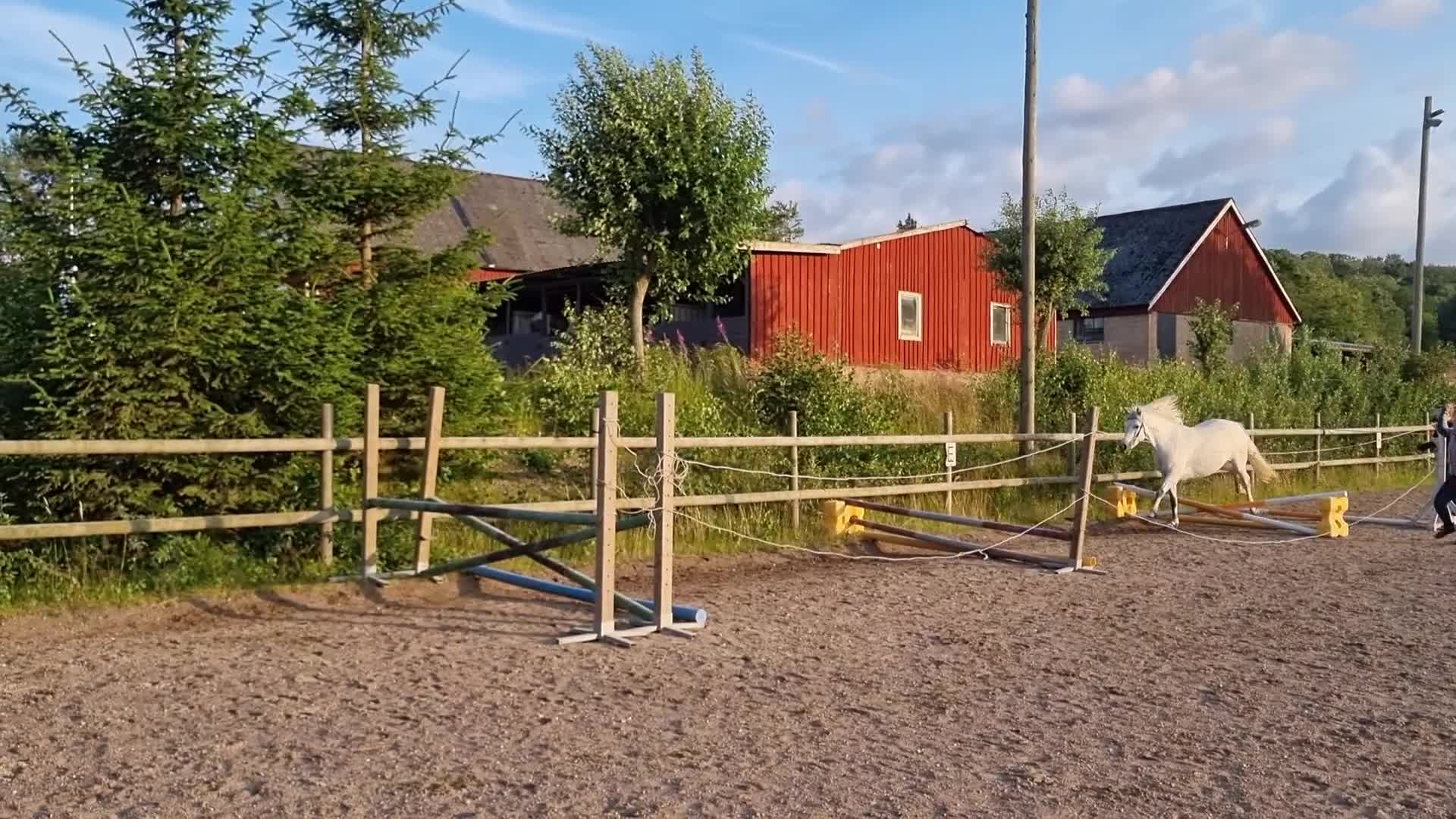 Allround hästar till salu: Fin ponny med hopptalang  - Video 2