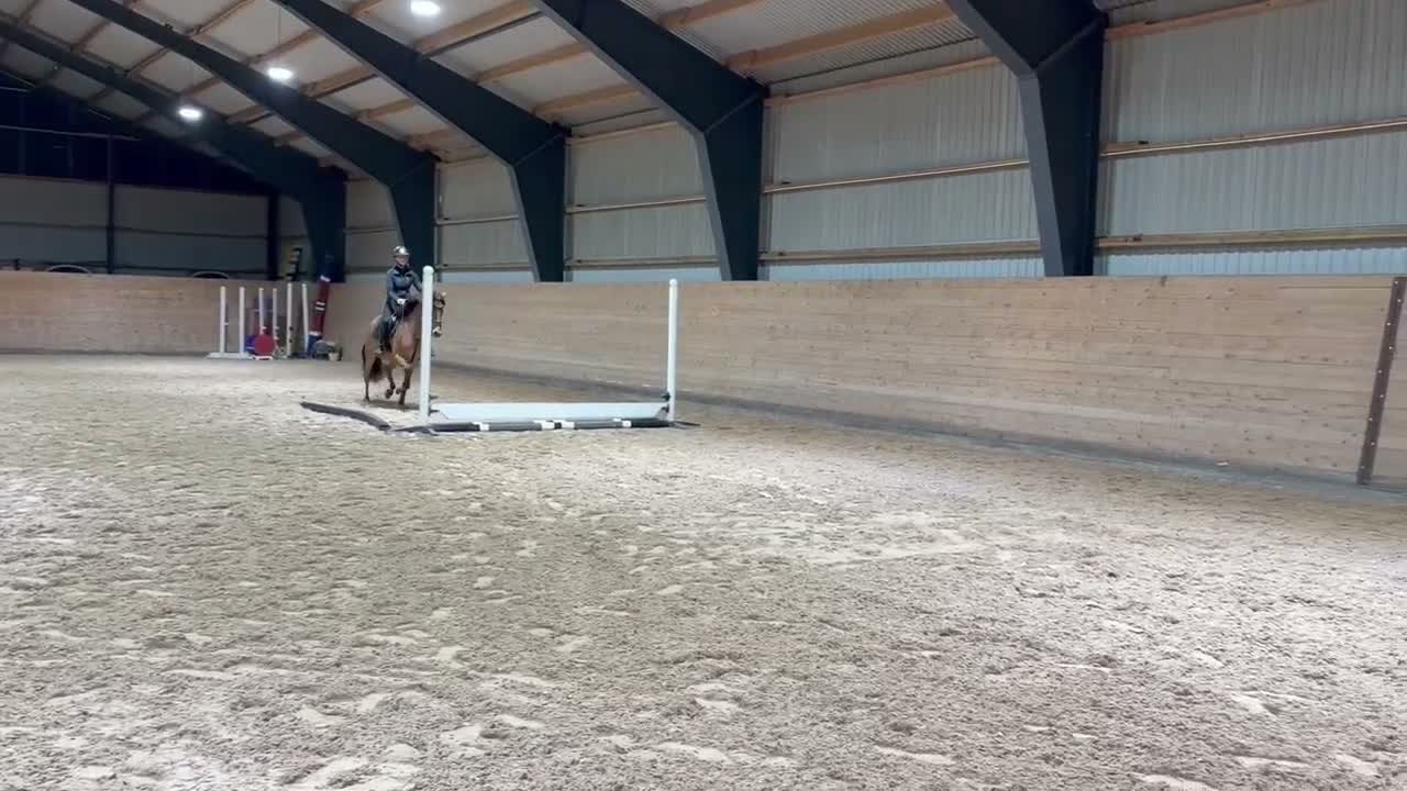 Allround hästar till salu: Superhärlig ungponny!❣️ - Video 3