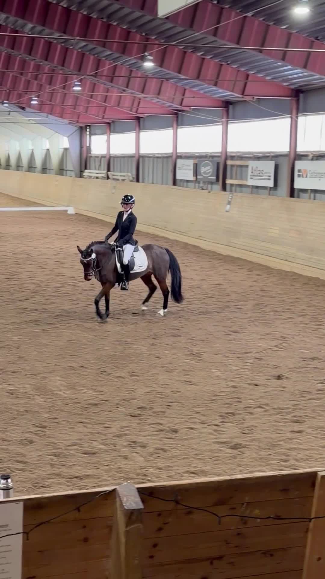 Dressyr hästar till salu: Älskad C-ponny med kvalitet och personlighet 🌟 - Video 3