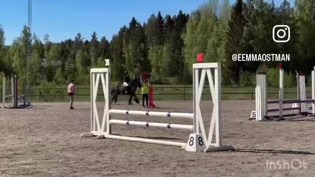 Hoppning hästar till salu: Lovande ungponny! - Video 1