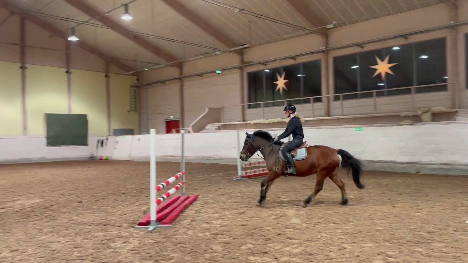 Allround hästar till salu: Trevlig C-ponny säljes  i Skärholmen - Video 3