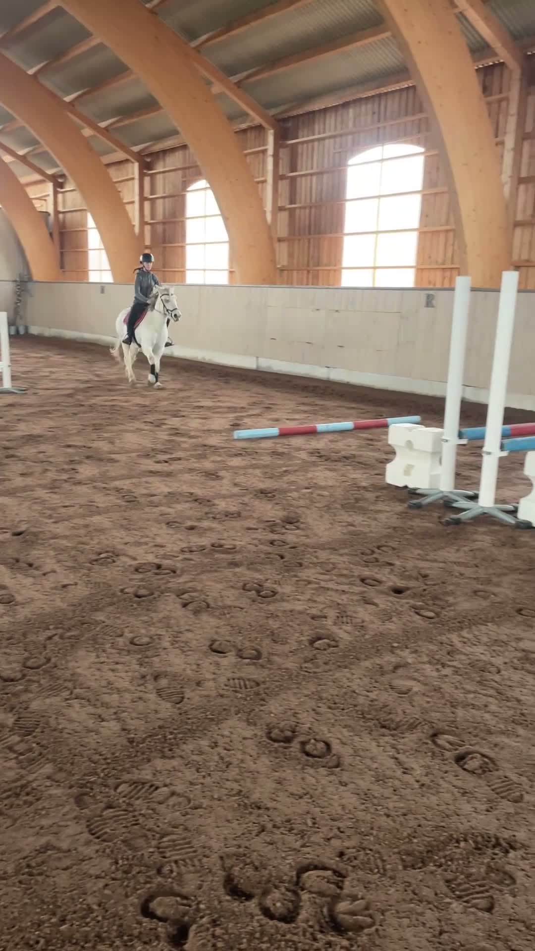 Allround hästar till salu: En bästa vän för livet❤️ - Video 1