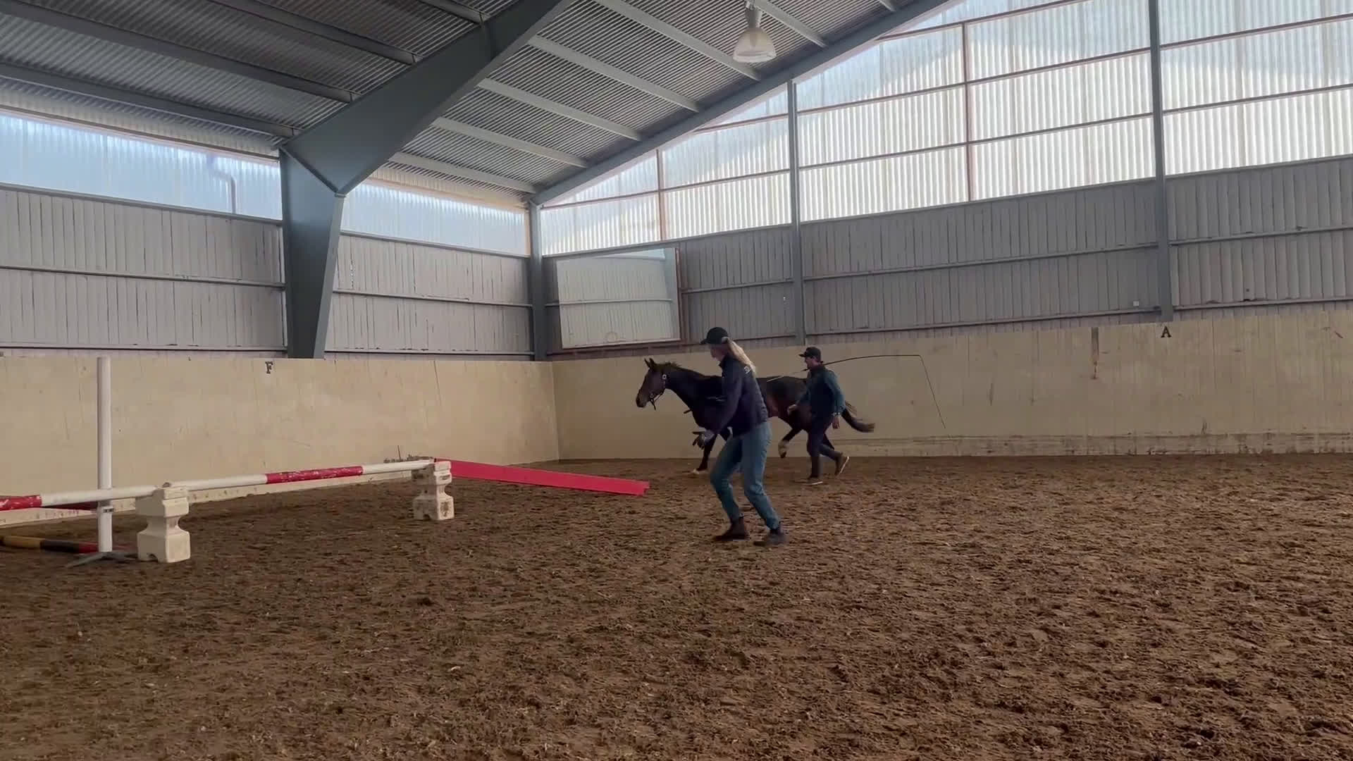 Hoppning hästar till salu: Phoebe W - Video 2