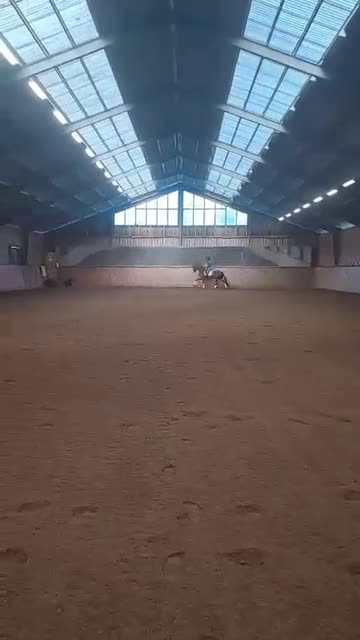 Dressyr hästar till salu: Talangfullt gångartssto  i Laholm - Video 2