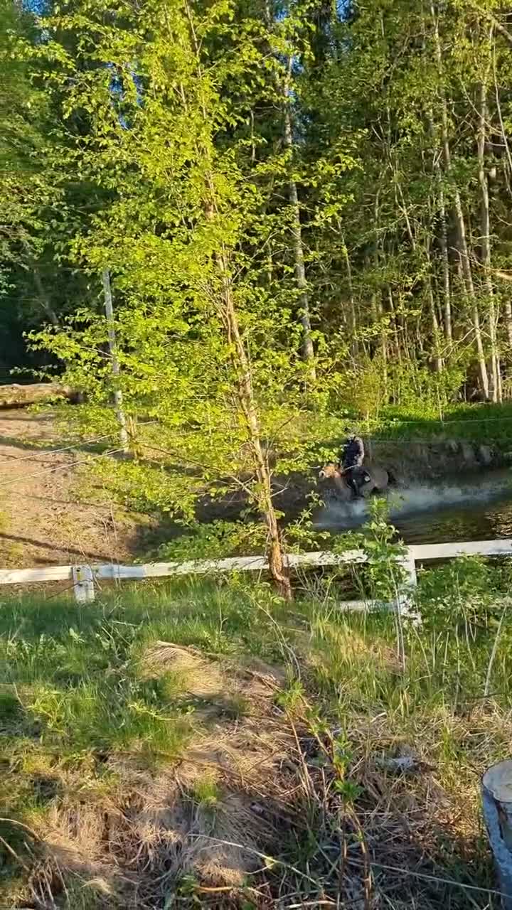 Allround hästar till salu: Fantastisk allround ponny - Video 2