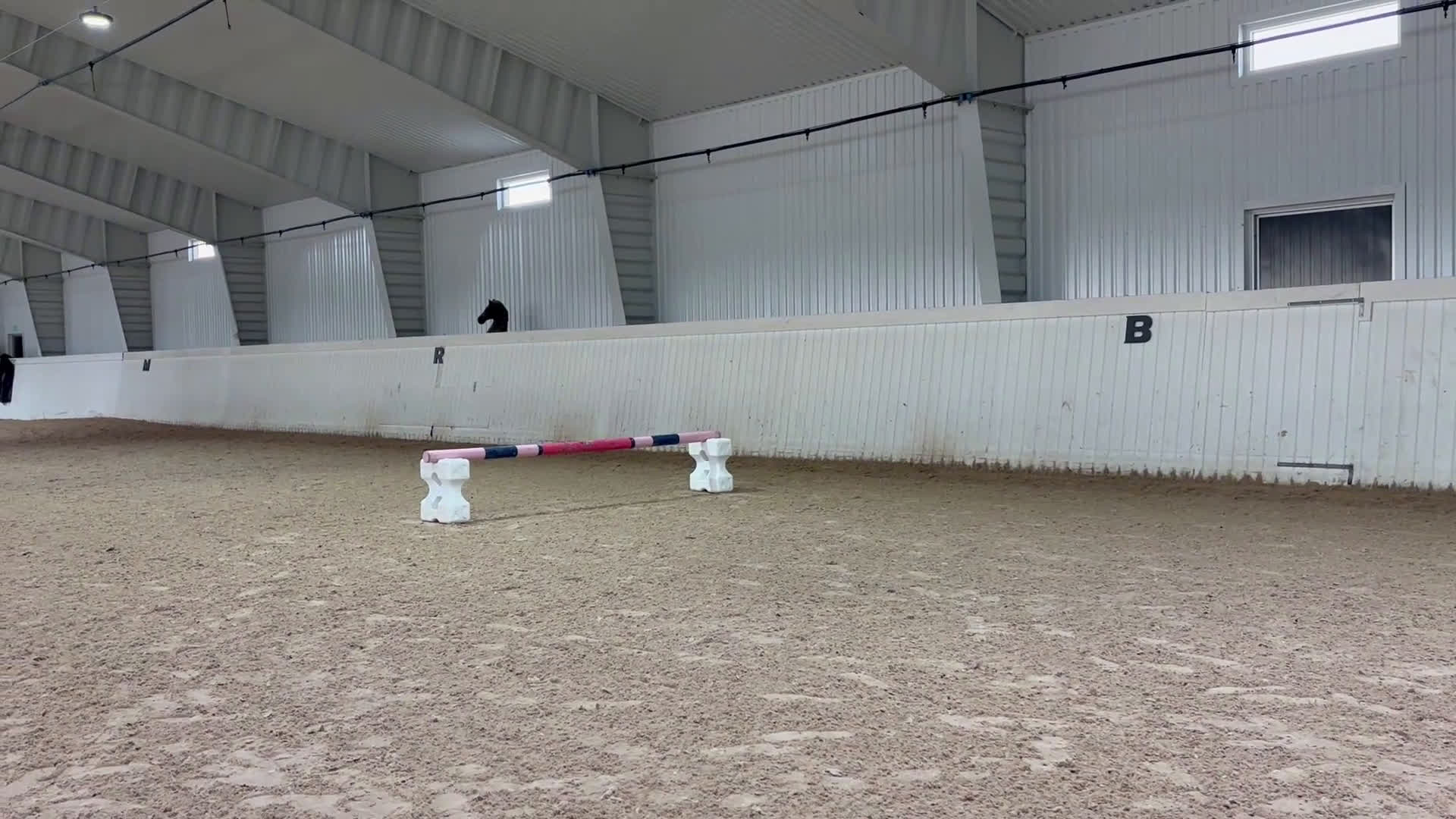 Hoppning hästar till salu: Fin valack med kapacitet  i Arlandastad - Video 3