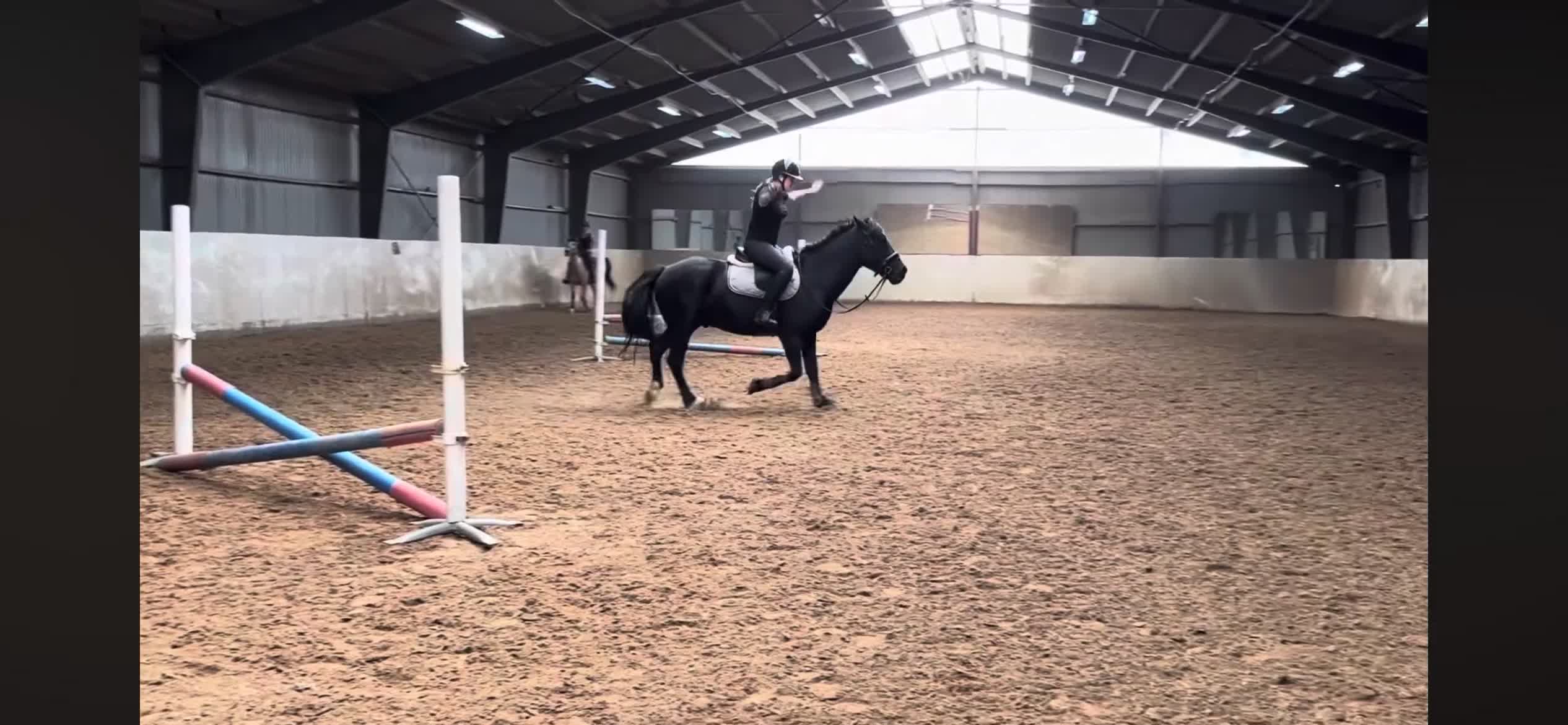 Allround hästar till salu: Skogsmulle till fyndpris ⭐️ i Ekeby - Video 3