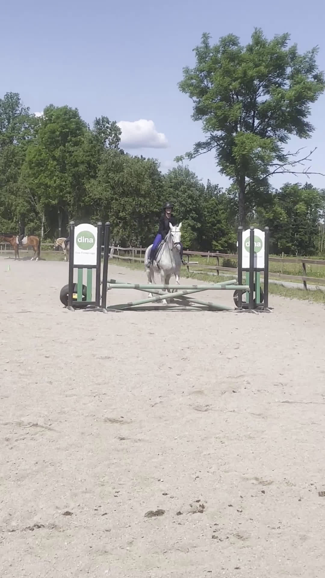 medryttarhäst sökes: Söker medryttarponny eller liten storhäst i Huddinge - Video 1