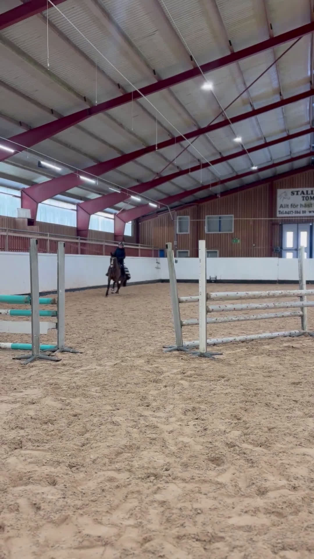 Allround hästar till salu: Storhäst i ponnyformat ⭐️ - Video 3