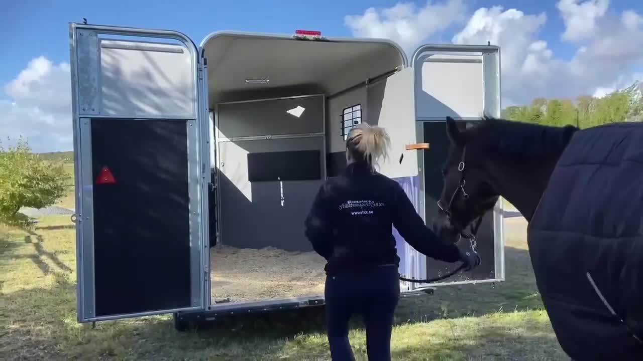 Hästtransporter  fordon & transport till salu: Fautras Oblic+2 diagonallastad 2021 - Video 1