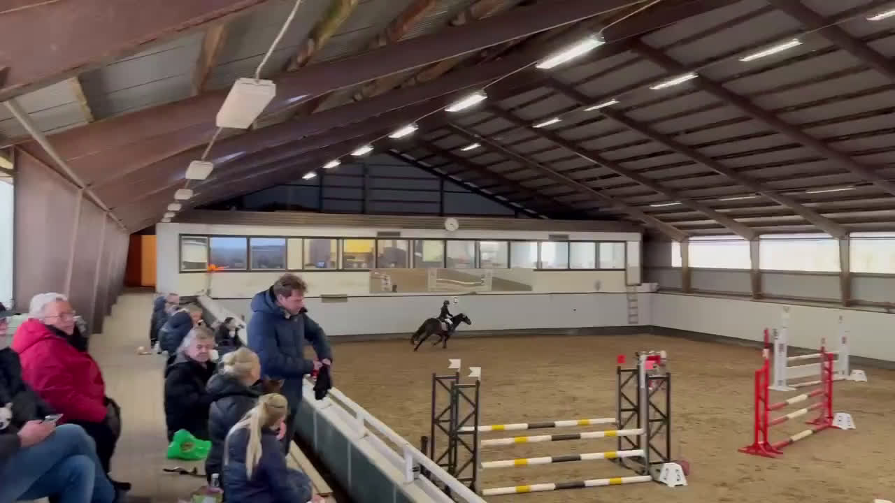 Hoppning hästar till salu: En fantastisk c ponny i Löddeköpinge - Video 2