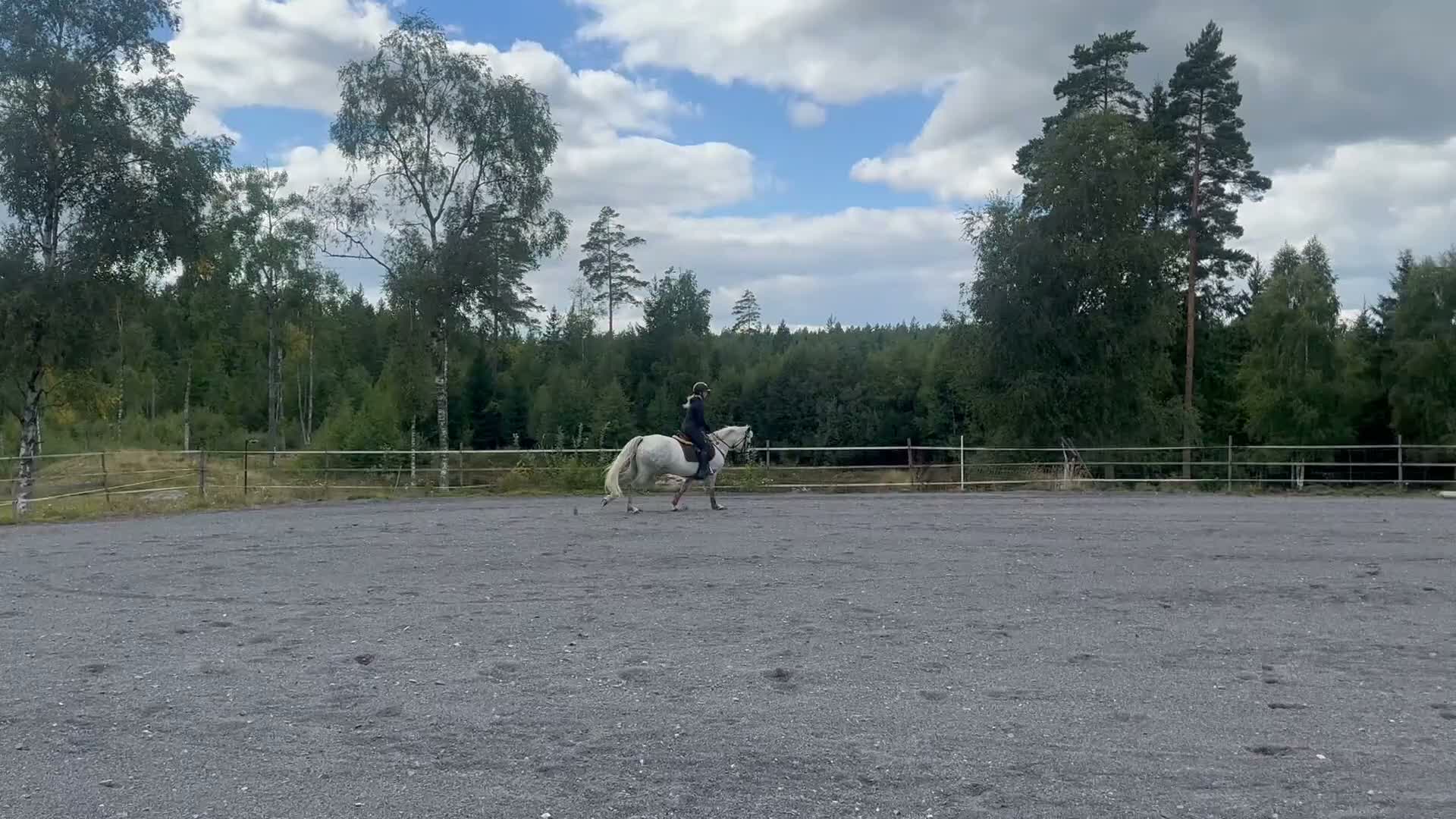 Allround hästar till salu: Drömponnyn  - Video 1
