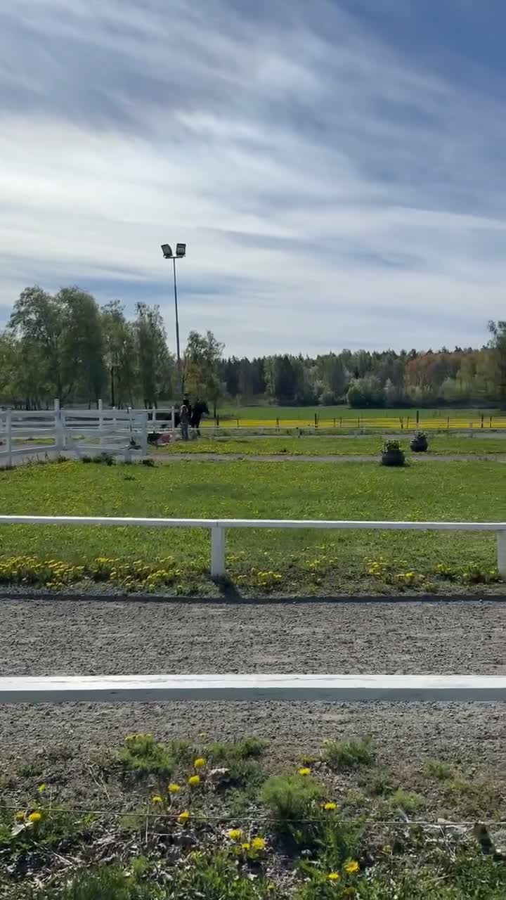  medryttarhäst finnes: Medryttare sökes till Aragon - islandshäst - Video 1