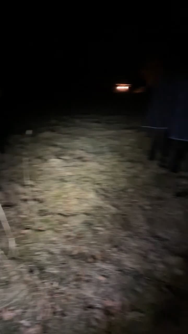  hästservice finnes: Inridning/utbildning i Laholm - Video 1