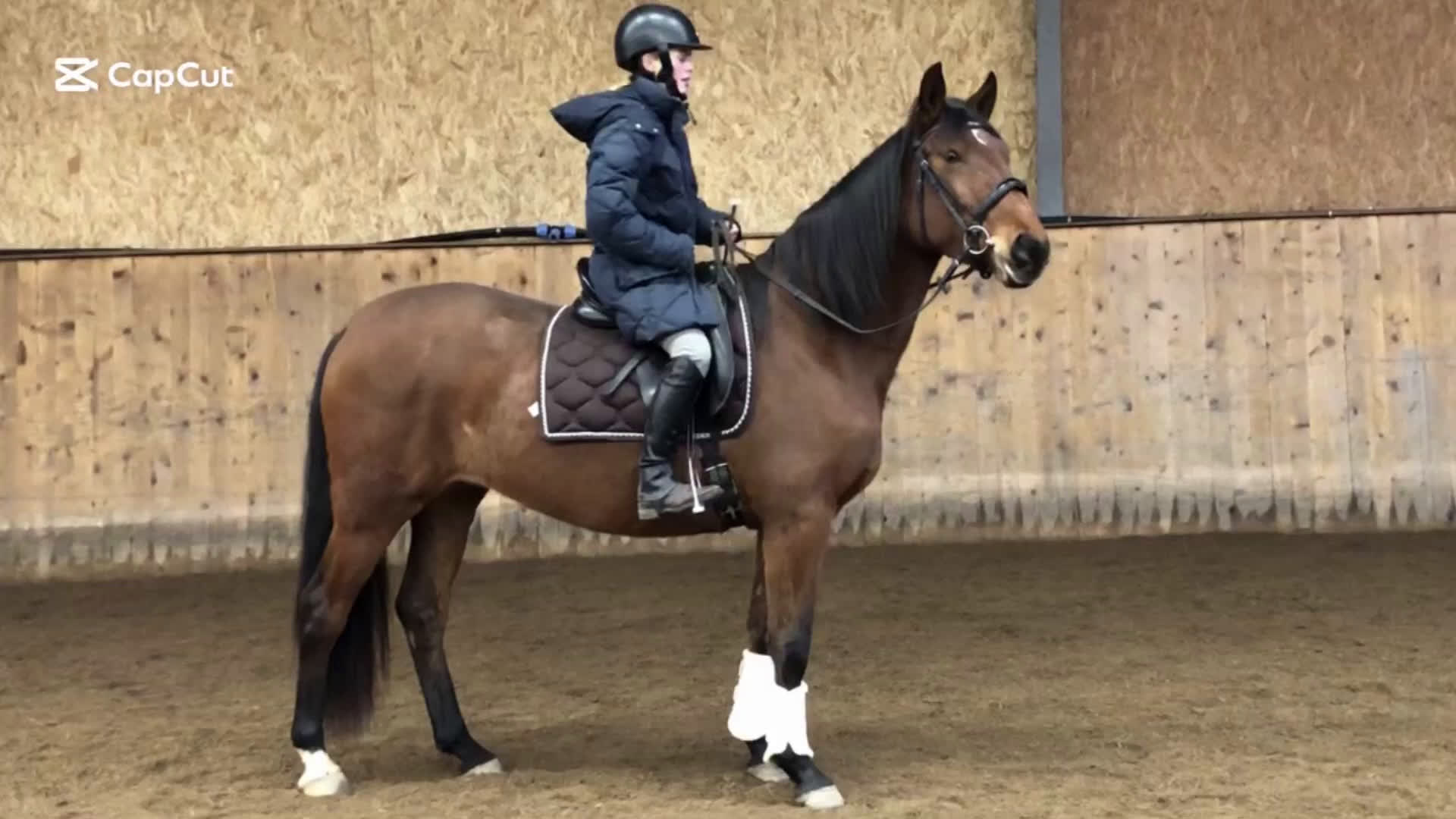 Dressyr hästar till salu: Framtida stjärna i Munka-ljungby - Video 1