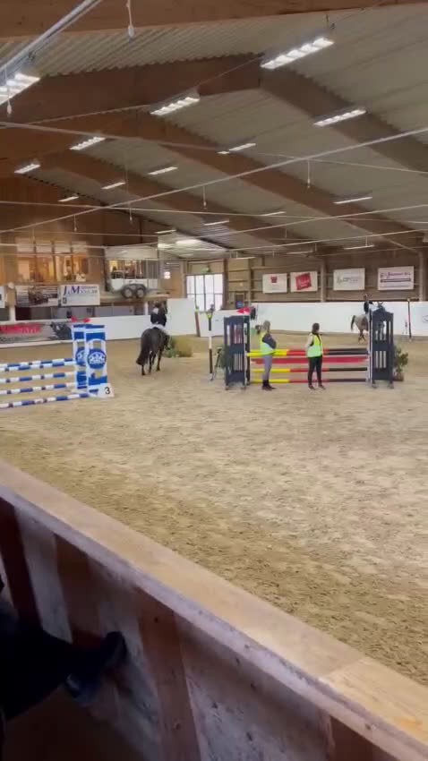 Hoppning hästar till salu: En prinsessa! (NEDSATT PRIS från 140,000:- )) i Strömsholm - Video 3