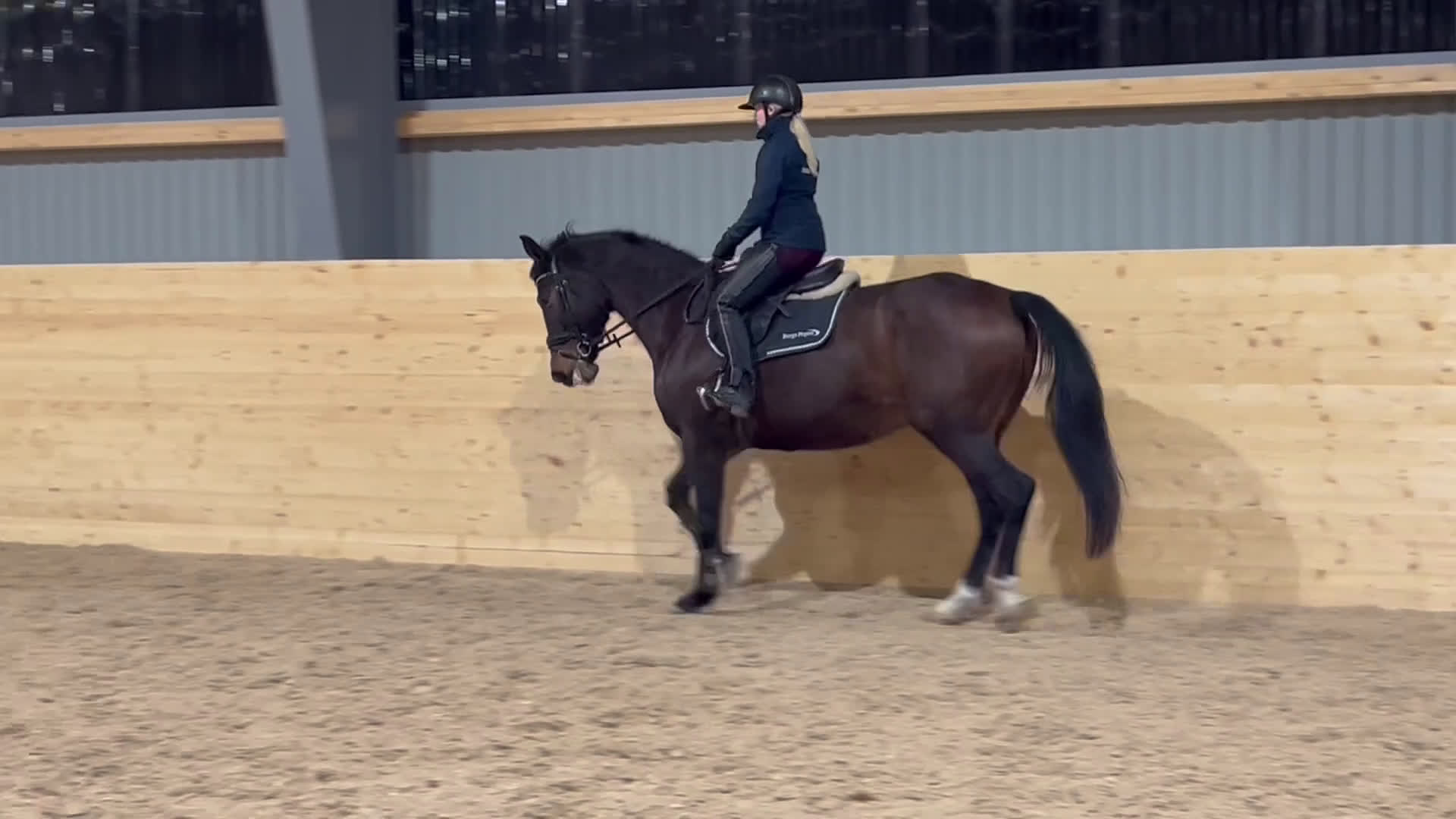 Avelshästar hästar till salu: Powermamma! - Video 1