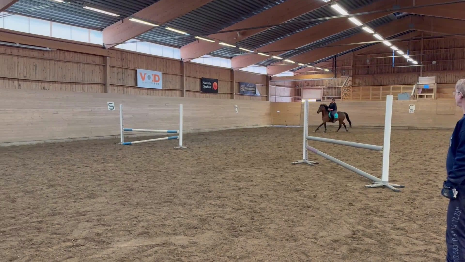 Allround hästar till salu: ✨Vacker och positiv fullblodsvalack säljes✨ i Söderbärke - Video 1