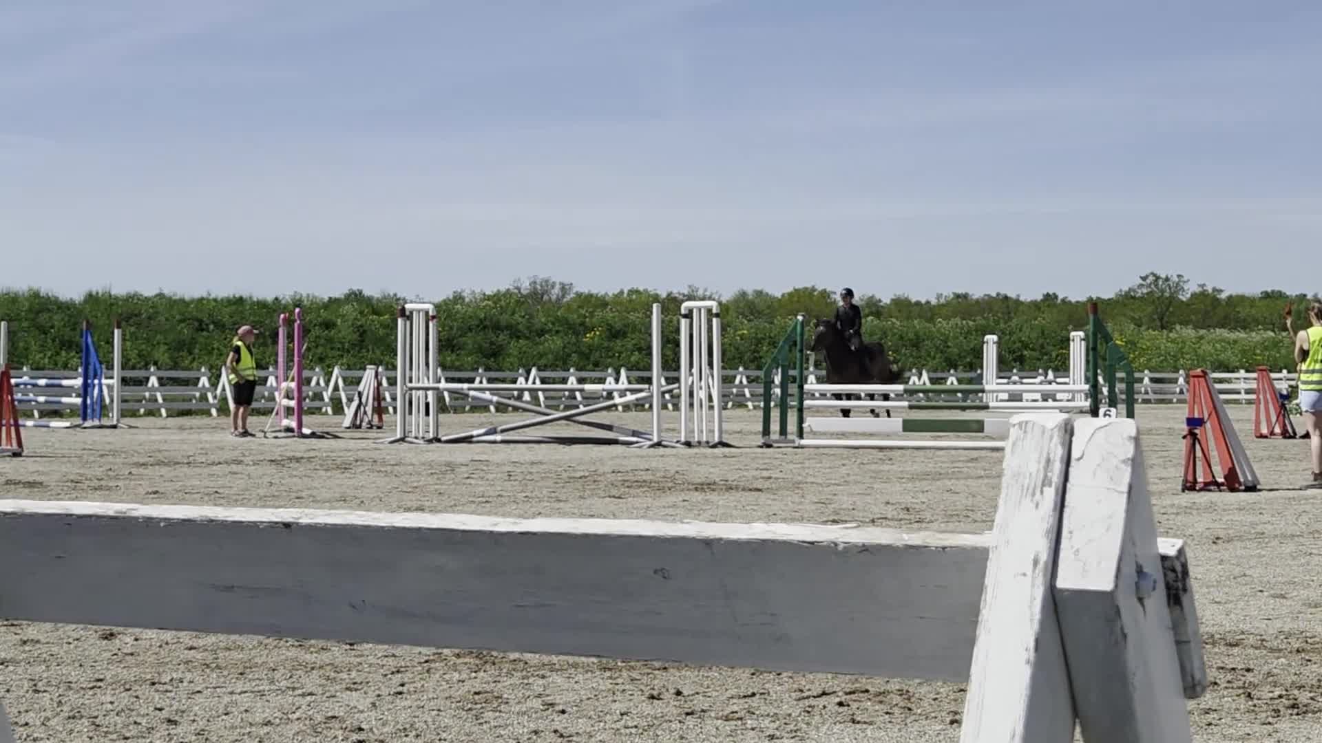Allround hästar till salu: Allround Ponny - Video 1