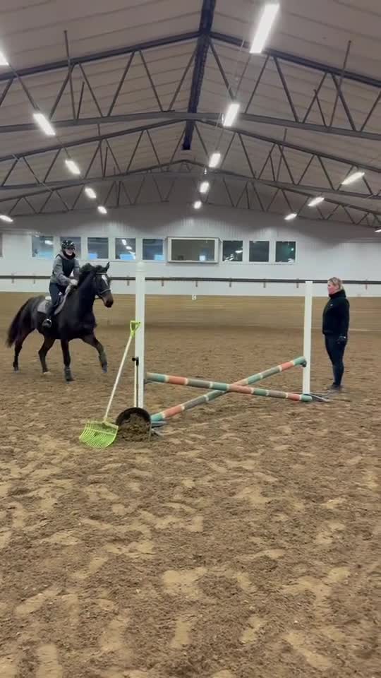 Allround hästar till salu: Trevlig allround valack! - Video 4