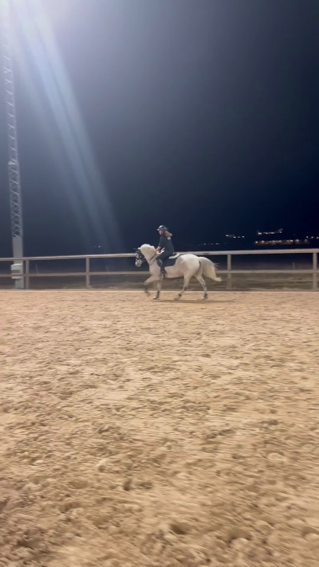 Dressyr hästar till salu: Connemaraponny med hjärta av guld 🌟 - Video 2