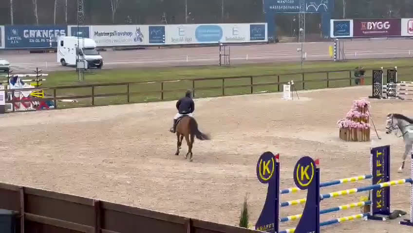 Hoppning hästar till salu: 9-årigt sto e. Heartbeat - Video 2