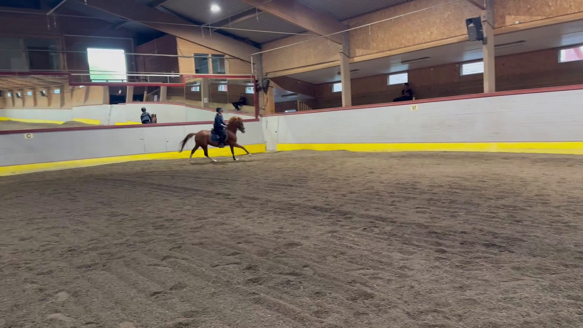 Hoppning hästar till salu: D-ponny för de högsta klasserna! i Nynäshamn - Video 1