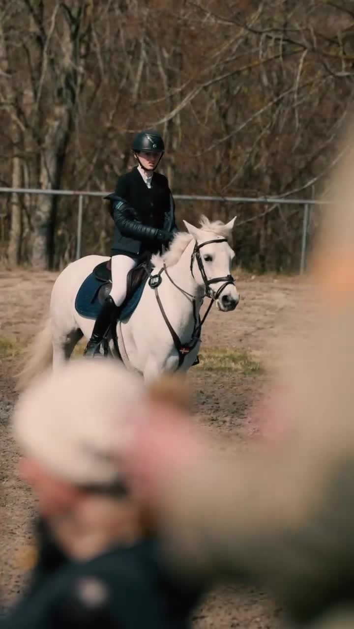 Hoppning hästar till salu: Spring pony til store stævner  - Video 1