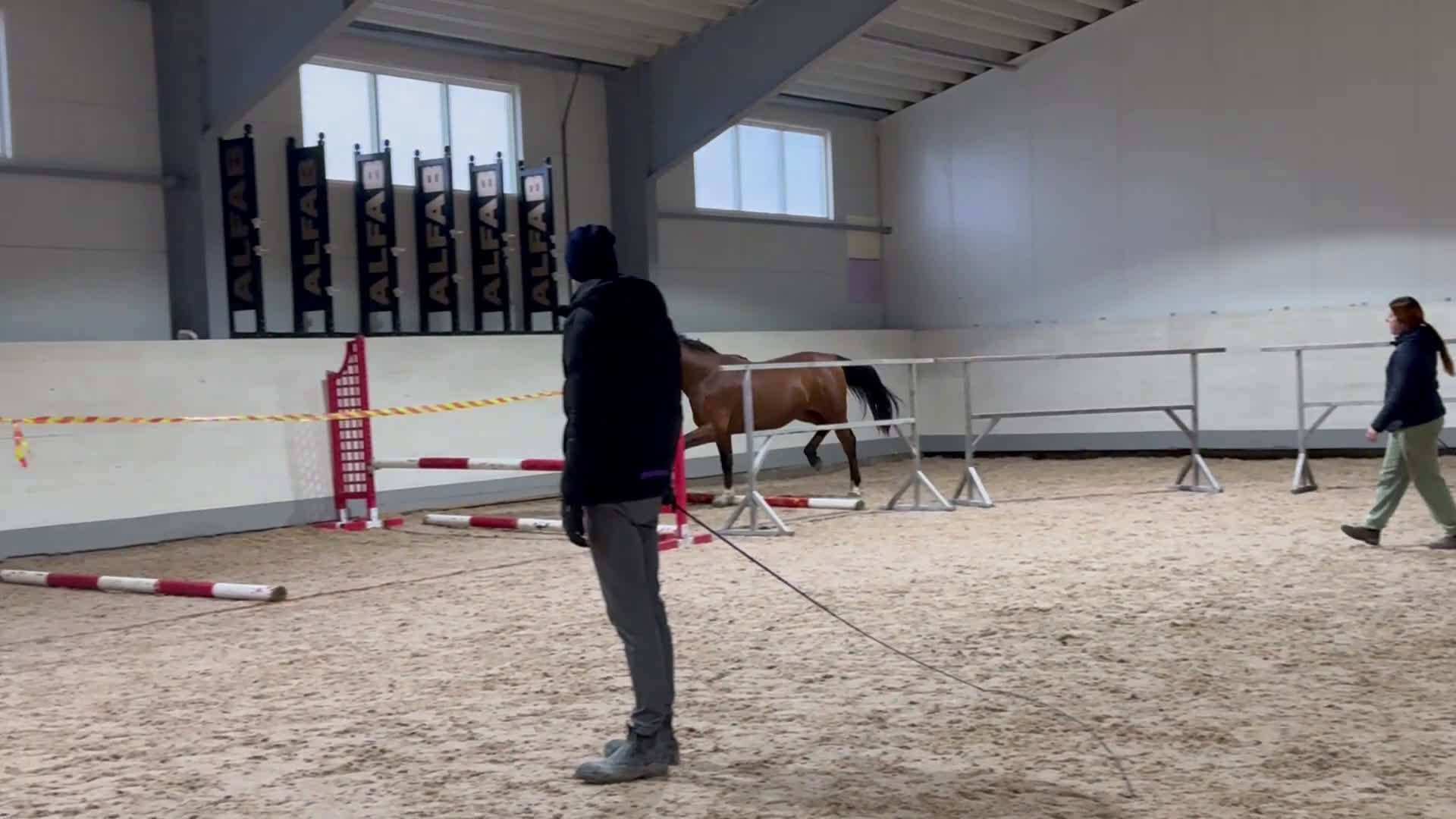 Hoppning hästar till salu: 2,5åring e: Vinnio II W Z - Diamant de Semilly i Västerås - Video 2